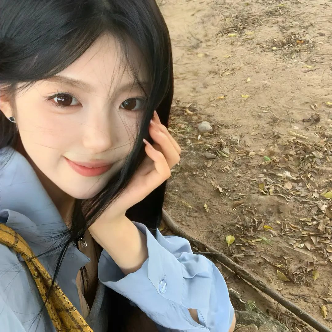 战地飘零燕